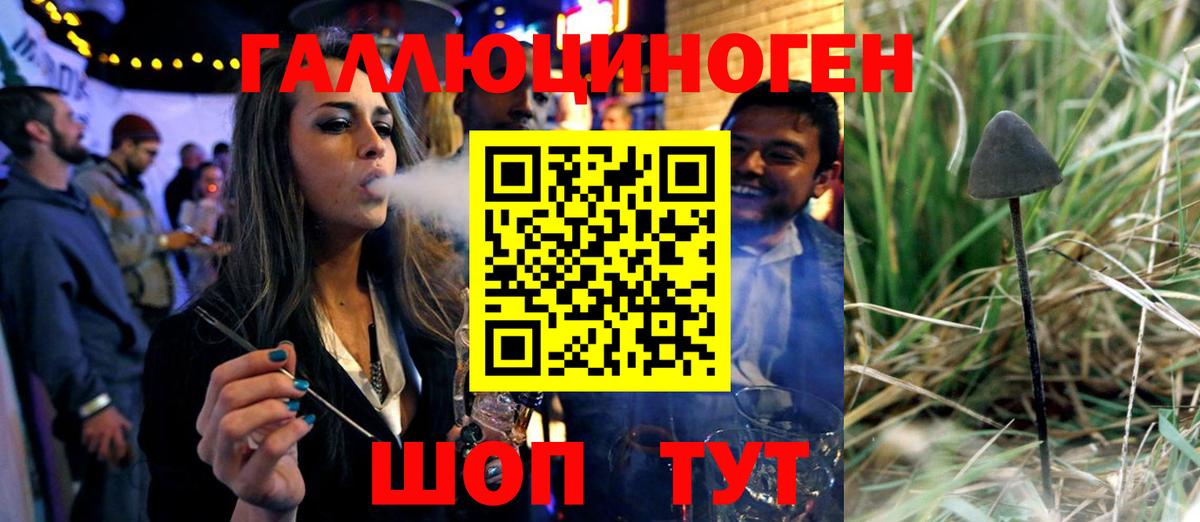 Сибай  Псилоцибиновые грибы Cubensis  Вход с VPN 